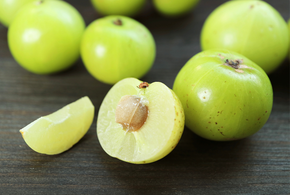 amla-exporters.png