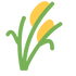 counter-1.png