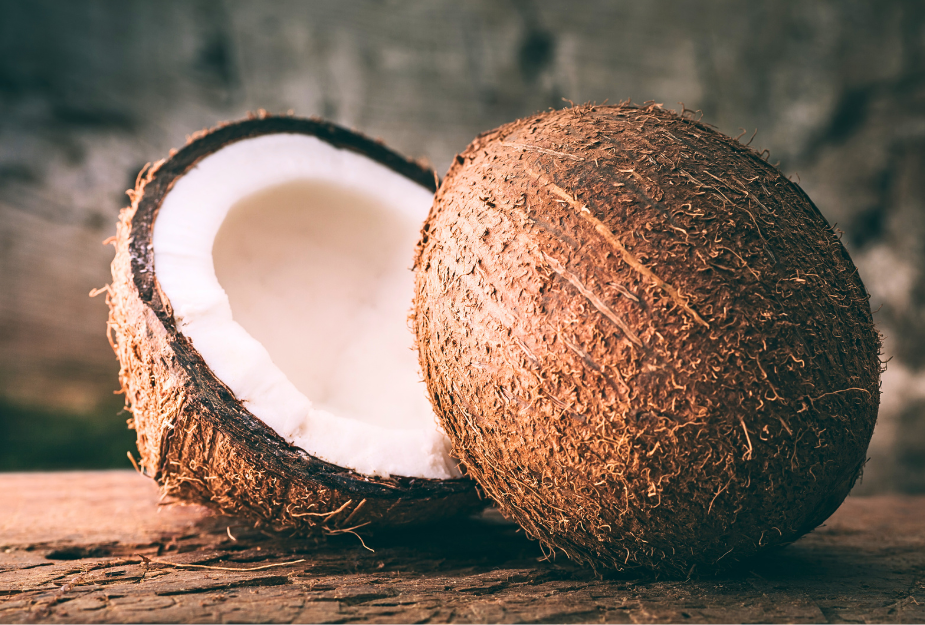 raw-coconut-exporters.png
