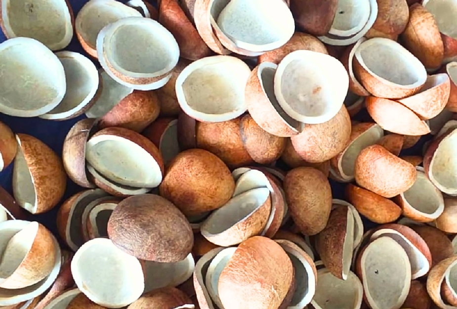dry-coconut.png